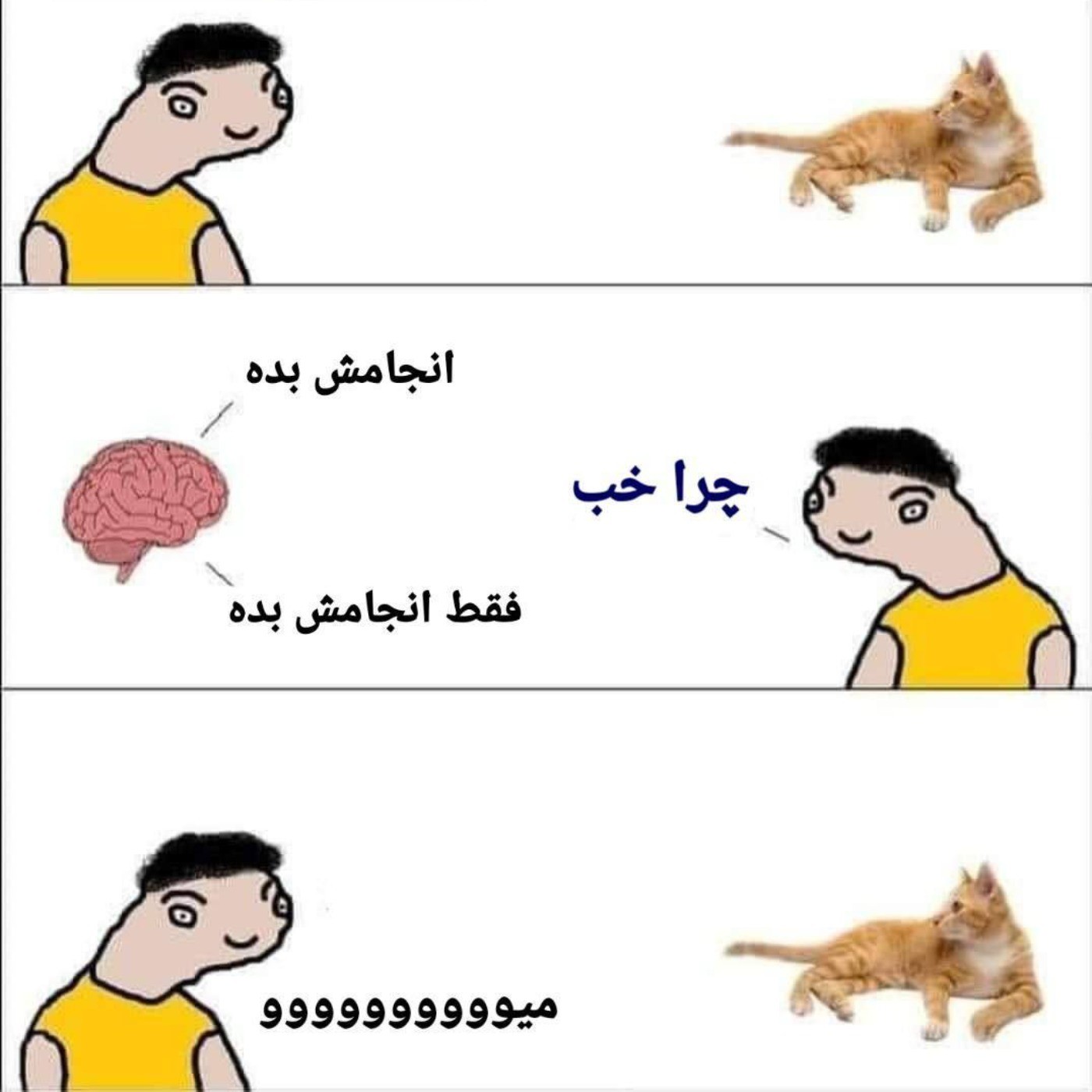 وقتی ی گربه میبینم. 🗿