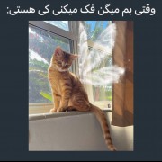 ملکه. 🗿