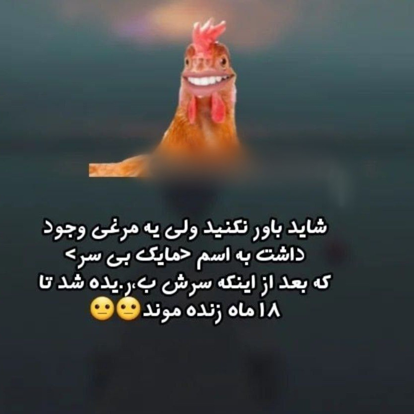 این مرغ تا 18ماه زنده ماند)))))) 