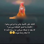 این مرغ تا 18ماه زنده ماند)))))) 