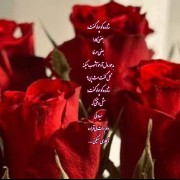 شازده کوچولو _ عکس نوشته _ روباه