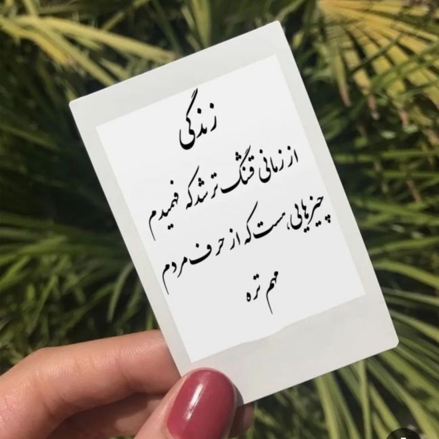 عکس دلنوشته زندگی حقیقت... 💜🦋🤞