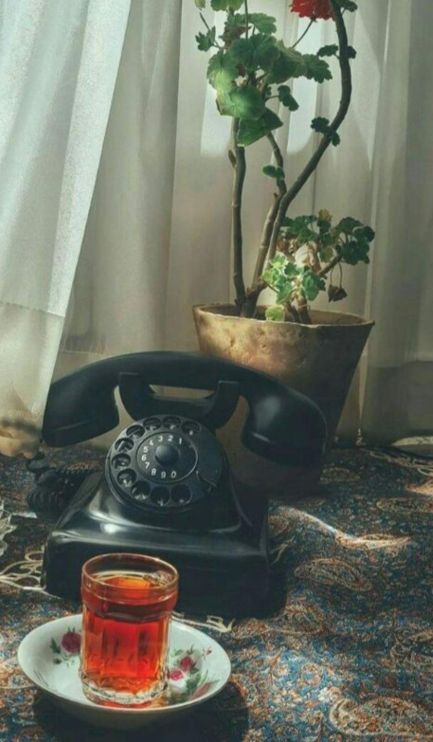 اینم یه نوستالژی برا استوری ☎️☕️