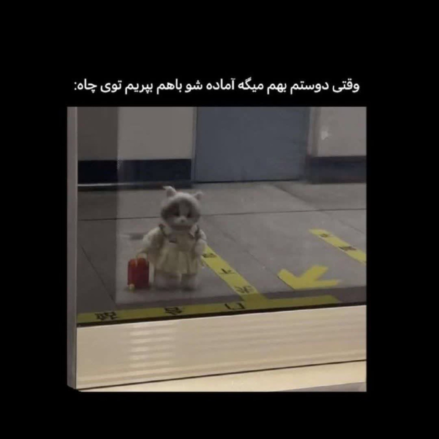 آره‌دُرُسته😂🖐🏻-! ‌ ‌ ‌