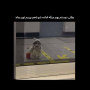 آره‌دُرُسته😂🖐🏻-! ‌ ‌ ‌