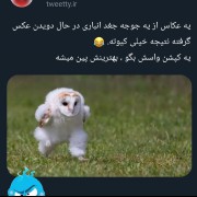 خیـــــــــــــــــــلی کیوته 🥺