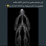 مثــــل آب خـوردن`🤭🥺🤣...... 