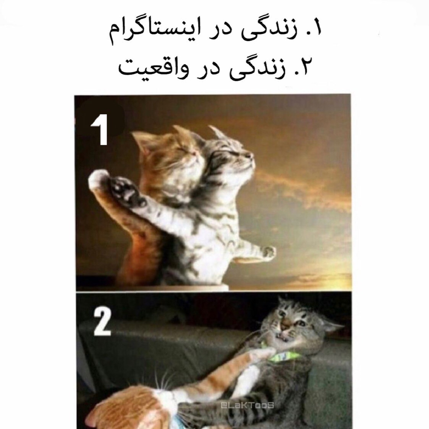 طنز زندگی در اینستاگرام 🤣🤣🤣