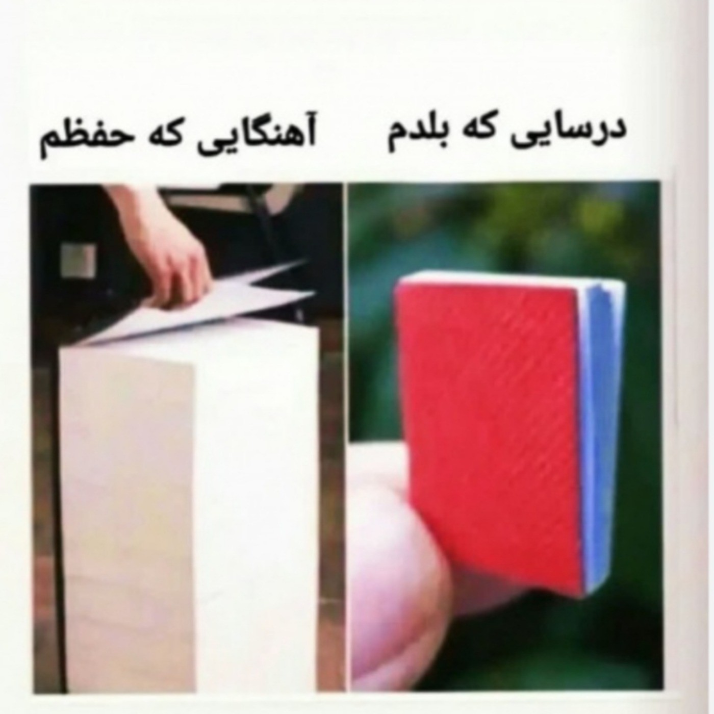 حقققق شما هم مثل من اید؟؟؟؟؟🙃