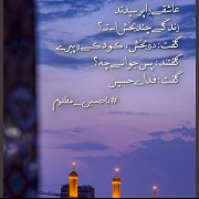 به امید روزی که بیام پیشت..یاحسین🖤🦋