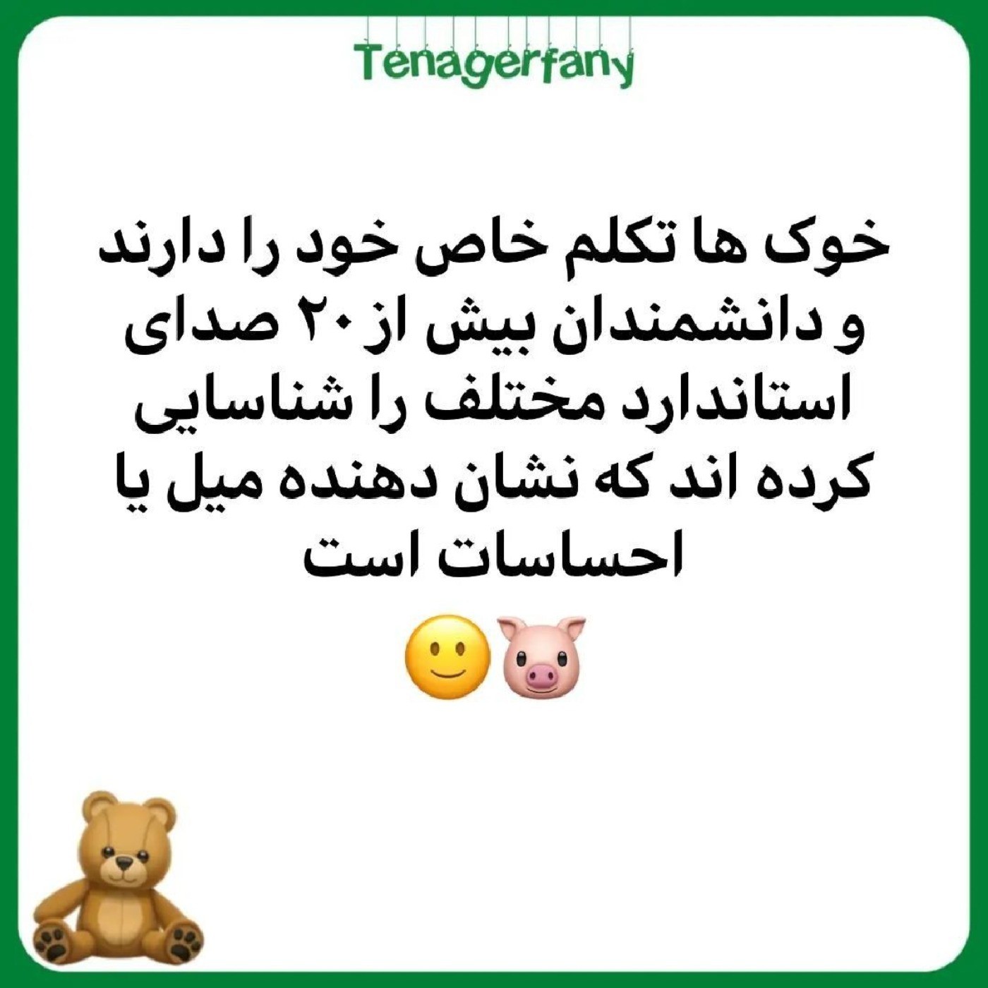 چند سالته بودی فهمیدی.........