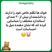 چند سالته بودی فهمیدی.........