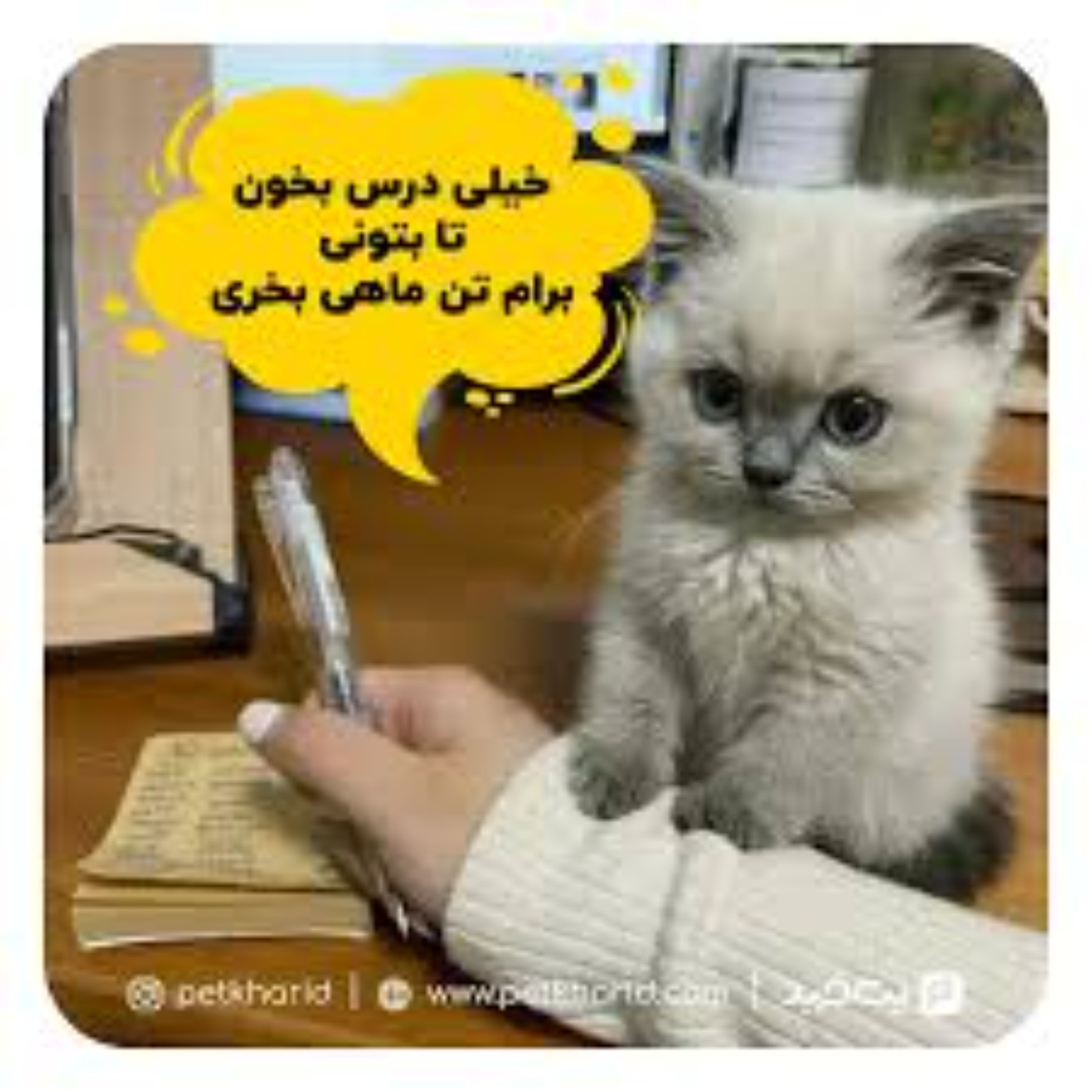 زیـاد درس بـخـون 😂😂😂😹🐈🐈‍⬛