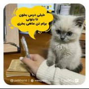 زیـاد درس بـخـون 😂😂😂😹🐈🐈‍⬛