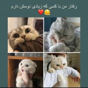 من وقتی یکی رو خیلی دوس دارم 😂💕