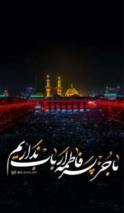 کربلا حرم امام حسین بین الحرمین