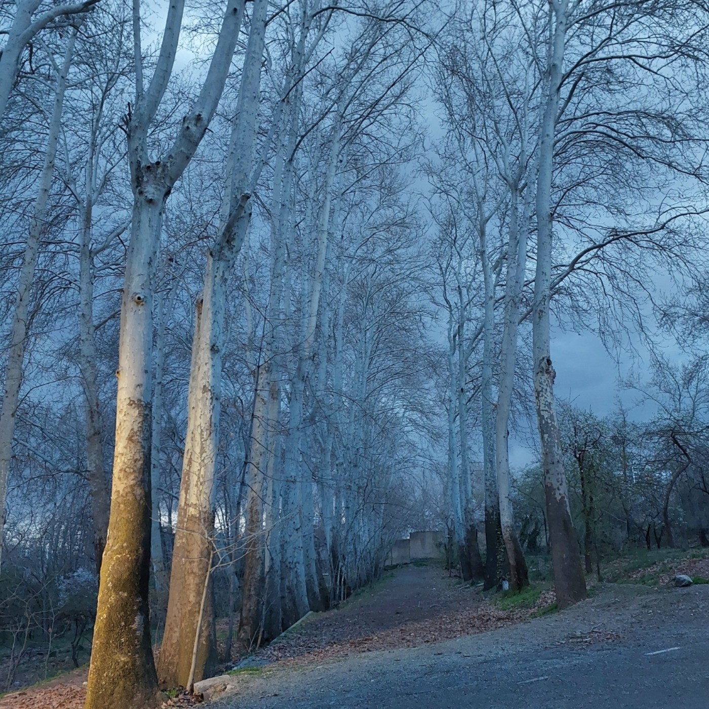 سرمای خانه. .